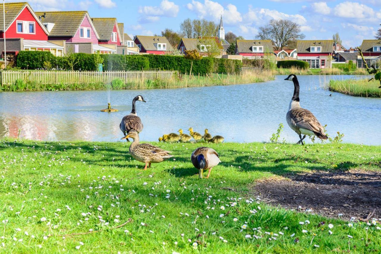 Grimaud 151 - Kustpark Village Scaldia Hoofdplaat Екстер'єр фото